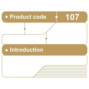فست فود کد 107 – پاشاپک