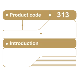 رستوران کد 313 – پاشاپک