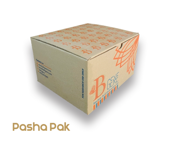 دارویی کد 809 – پاشاپک دارویی کد 809 – پاشاپک